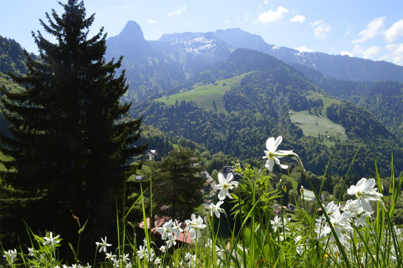 Spring views in the Les Avants region